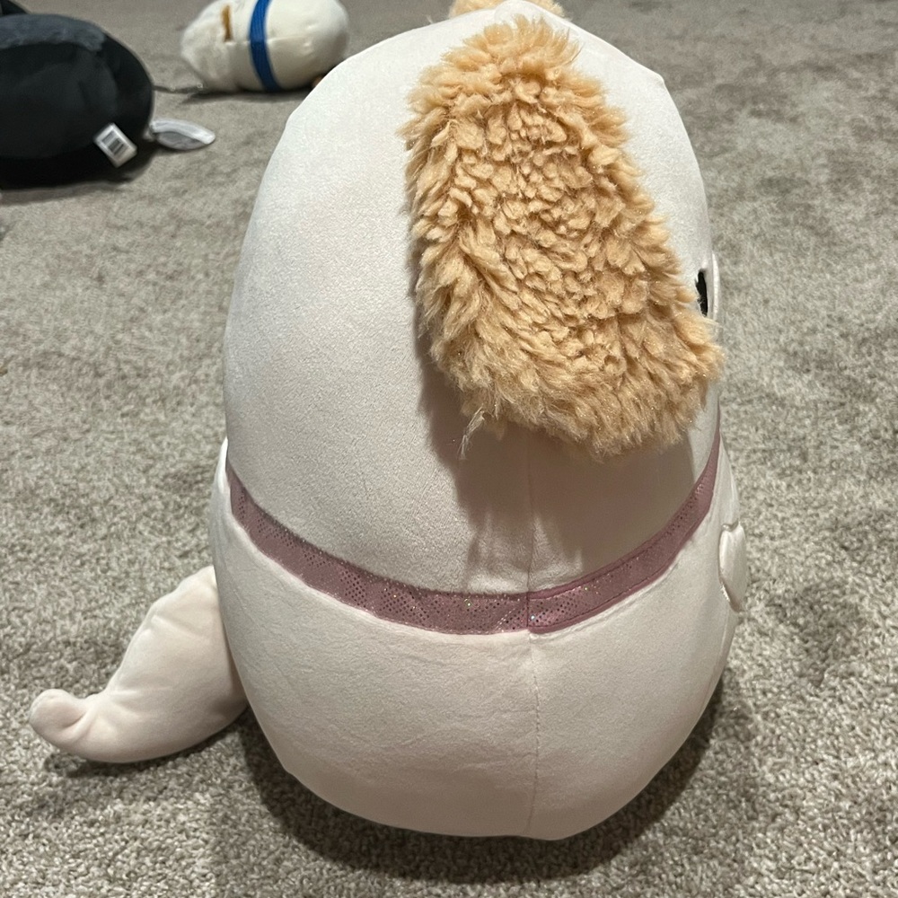 🐶 Liberty Cream Maltipoo Dog Make A Wish Squishmallows Special Edition 12” BNWT - Picture 6 of 11